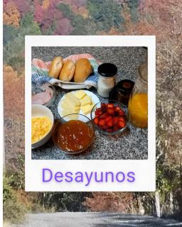 Centro Turístico Calafates del Llaima - 9