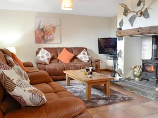 Ty Hir Bwlch Gwyn Farm Equestrian Centre - 8