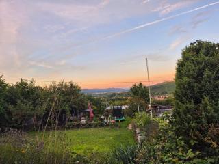 Genius Level Only - 1