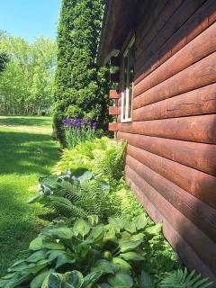 Charming Creekside Log Cabin with Wood Burning Stove Overlooking the Neshannock Creek, Western PA - Volant - 4