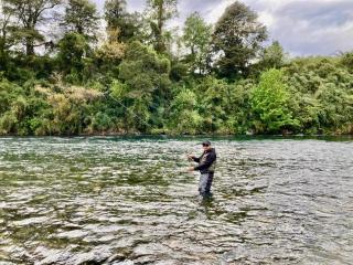 Cabañas Prado Verde, Llifén - 4