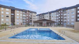 HostingPumalinVillarrica - 9