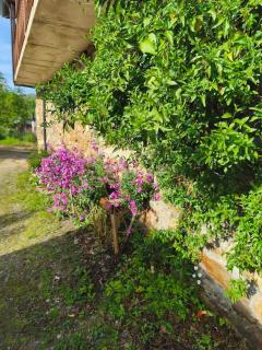 Rincón del Bierzo - 7