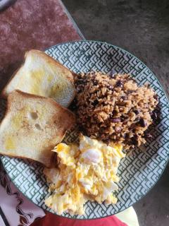 Hostal Bullshark - 9