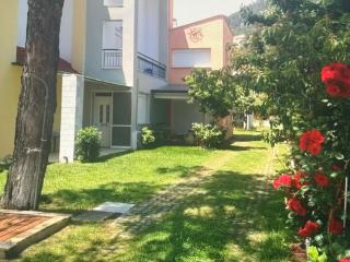 Thassos sea whisper , golden sand - 4