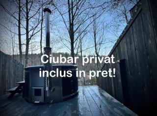 M Cabin Tree house Predeal Ciubar - 9