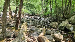 Cozy Cabin W/Hot Tub on Pigeon Forge Gatlinburg TN - 4