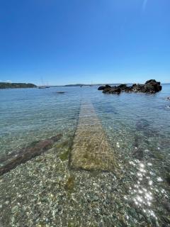 Beachfront Cawsand Flat - Sleeps 8 & Pet-Friendly - 1