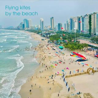 Luxury Ocean View Apartment near My Khe Beach - 9