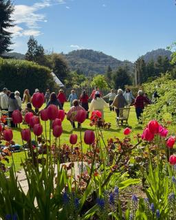 Le Bouquet Apart Hotel - 9