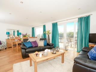 Kingfisher-Qc1185 - 8