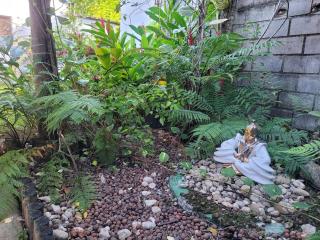 Morada Bem Querer - Guaiu - 3