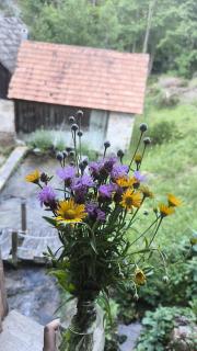 Plitvice Waterfall Millhouse Challet Stipanov Mlin - 5