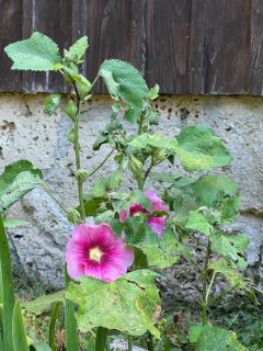 Plitvice Waterfall Millhouse Challet Stipanov Mlin - 7