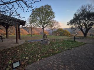 Villa Sant' Andrea - 9