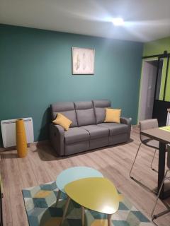 Cosy F2 proche parc thermal VITTEL - 3