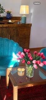 Apartament Diana - Traugutta Wrocław - 7