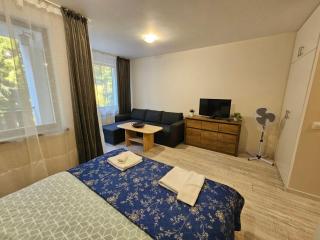 Borovets gardens Studio A12 - 9