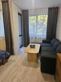 Borovets gardens Studio A12 - 3