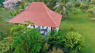 Welpalla Signature - 8