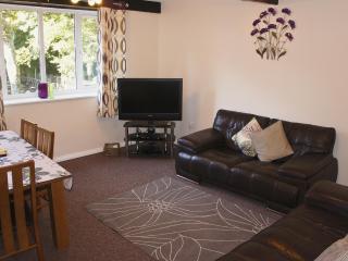 Kingfisher - 30788 - 8