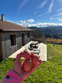 Refuge au coeur des Vosges - 5