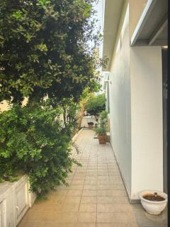 Kos blue & green - Città di Kos - 1