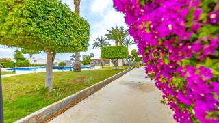 Coral Bay Star - Direct sea location - 8