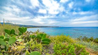 Coral Bay Star - Direct sea location - 7