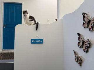 Pousada Caminho da Praia - 1