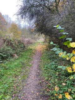 Cosy home in Middleton St George, Darlington - 7