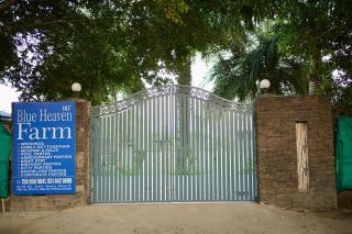 Blue Heaven Farm Villa - 6