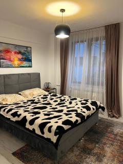 Beatrice Residence Centru Vechi - 3