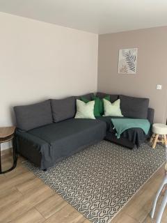 Charmant appartement proche CDG, Paris, parc des expositions - 3