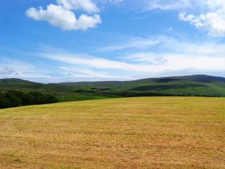 Shepherds Cottage - 1