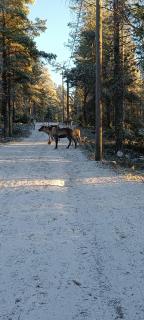 Cinderella's cottage - 7