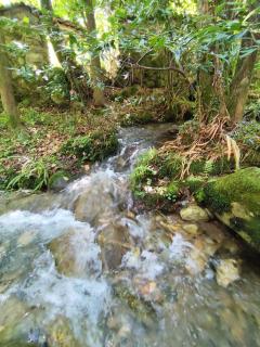 A Casa da Rianxeira - 5