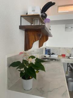 Vallartasol Hotel - 7