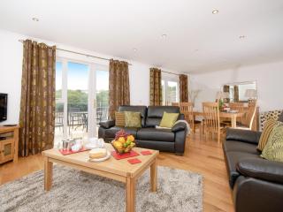 Woodpecker-Qc1186 - 9