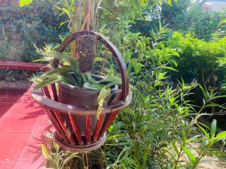 Palmhouse studio room - 6