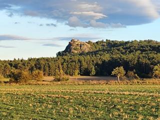 Pension Goldbachmühle - 4