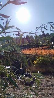 Villa with private pool and panoramic view - 3