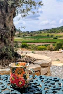 Villa with private pool and panoramic view - 2