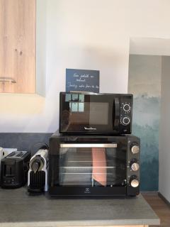 Le Renard des Vosges - 1