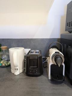 Le Renard des Vosges - 1