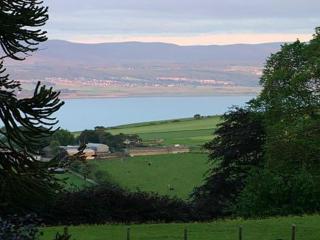 Pine Lodge - Uk7049 - 4