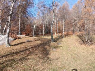 Casa Monti Di Motti - 8