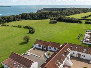Oyster Catchers - Uk6730 - 1