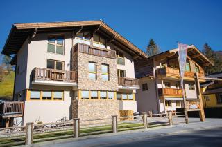 Arlerschmied die Pension/Appartment - Wagrain - 0