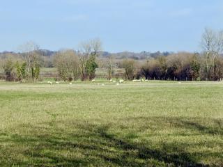 The Coach House - Yaxham - 1